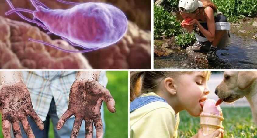 Sources of infection