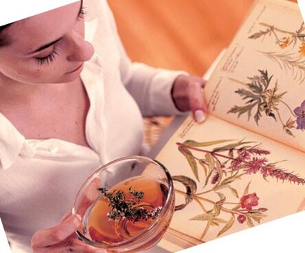 Parasitic Folk Recipes