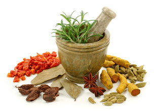 Spices of parasites in the body